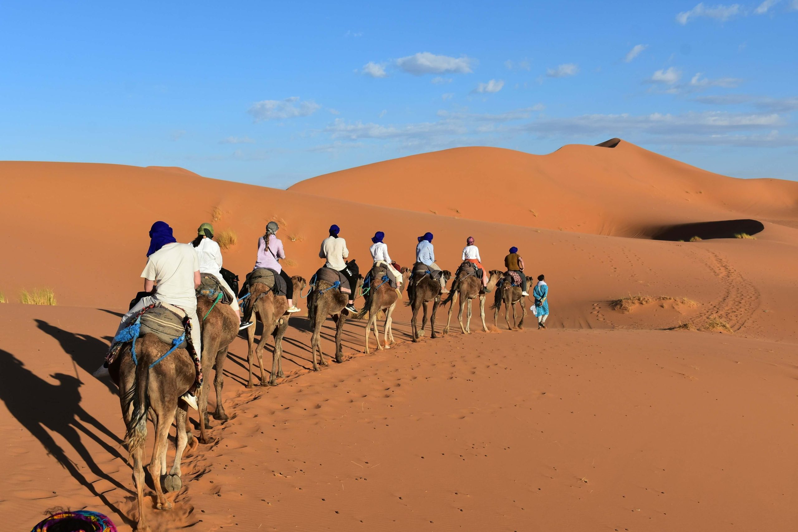 Camel Rides in Morocco