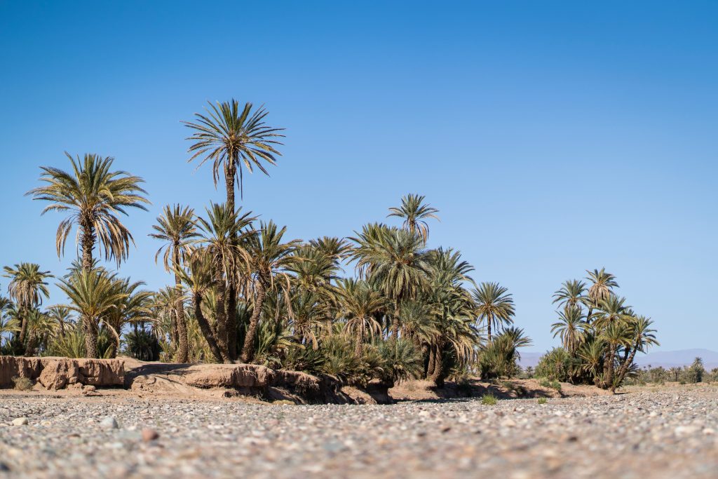 Skoura and Kasbah Amridil