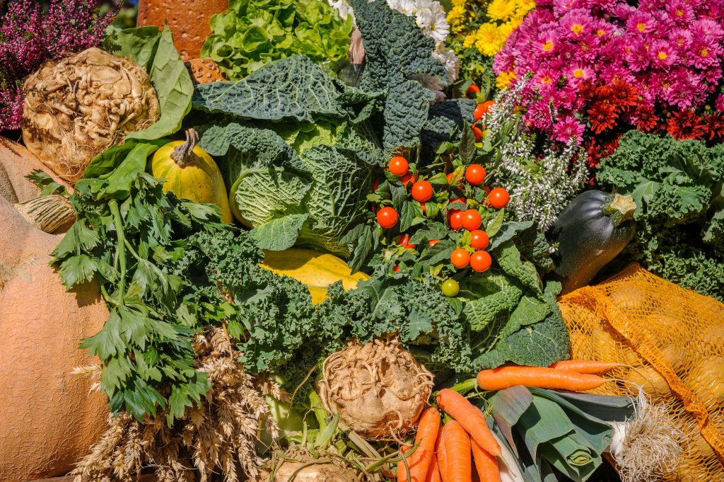 Vegetarian Travel in Morocco