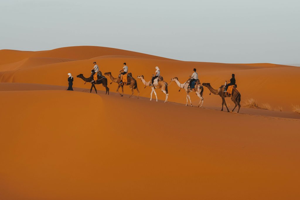 Best DMC morocco
