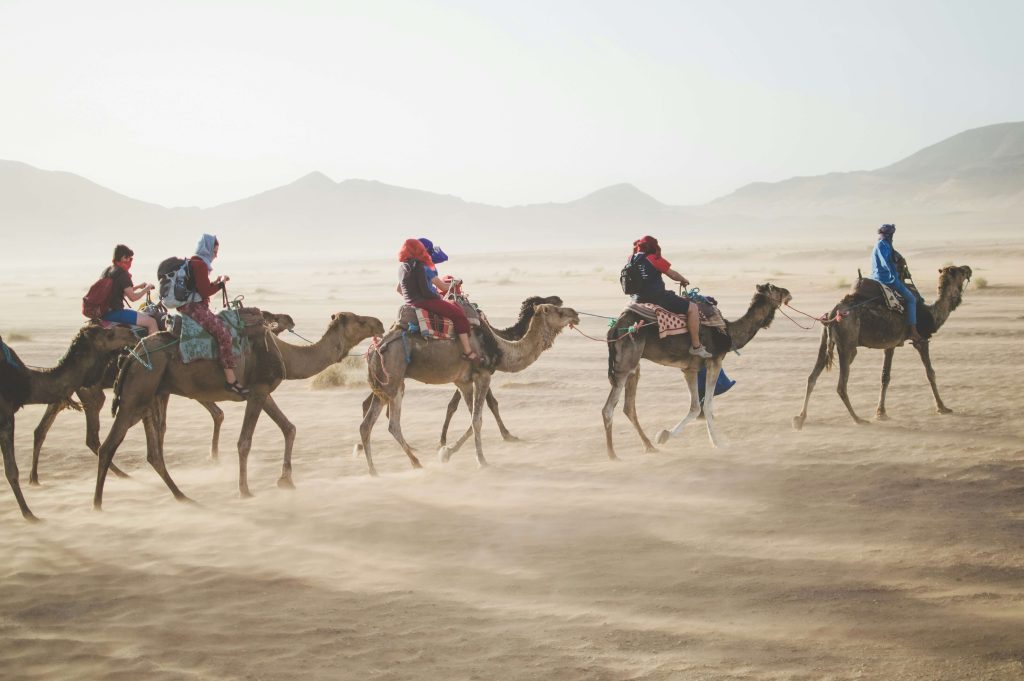 Group Tour Morocco
