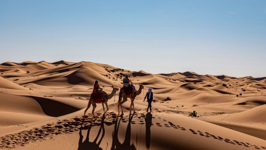 Tour Operator in Morocco